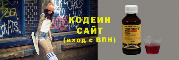 крисы Абаза