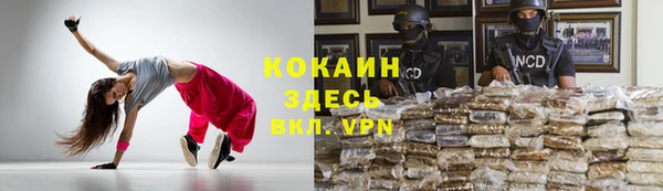 крисы Абаза