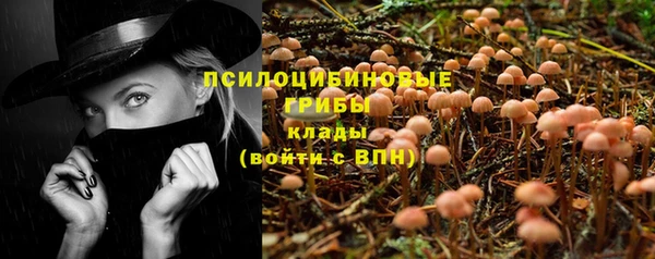 крисы Абаза